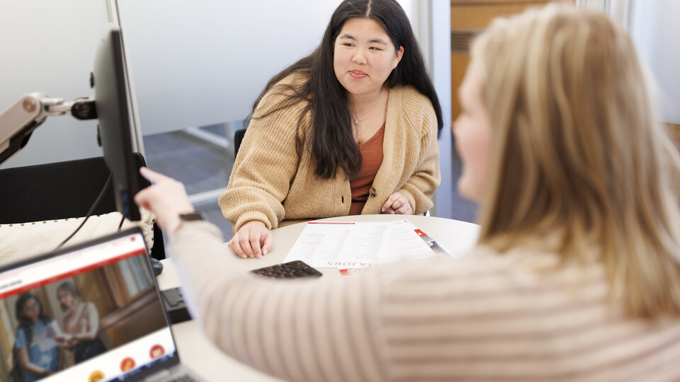 Adviser meeting with student