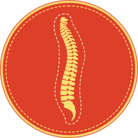 Pre-Chiropractic icon